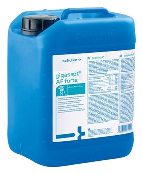GIGASEPT AF Forte Flacone 2 litri 