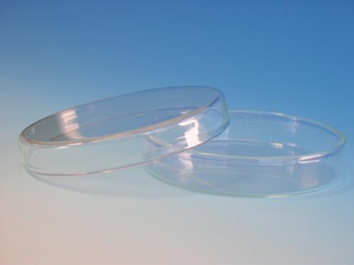 PETRISCHALE Glas mit Deckel 6x1.5cm A 1042/6 