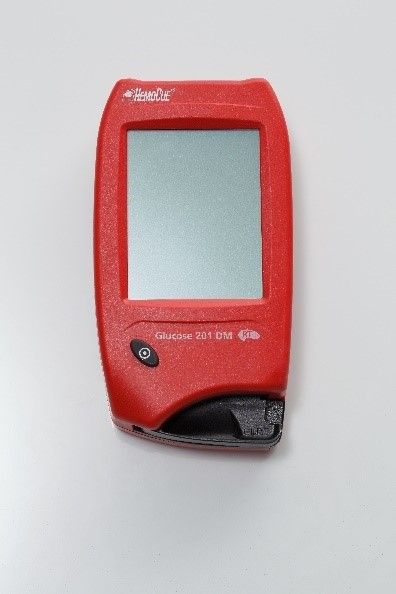 HEMOCUE GLUCOSE 201 DM RT 